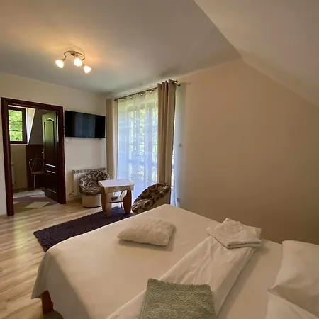 Miodowa Polana Apartment Polanczyk Room photo